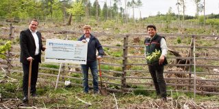 Volksbank Marsberg unterstützt Baumpflanzungen der Richard-Hesse-Stiftung